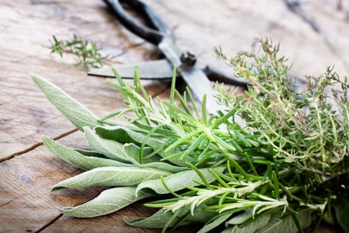 Rosemary - Sage - Thyme
