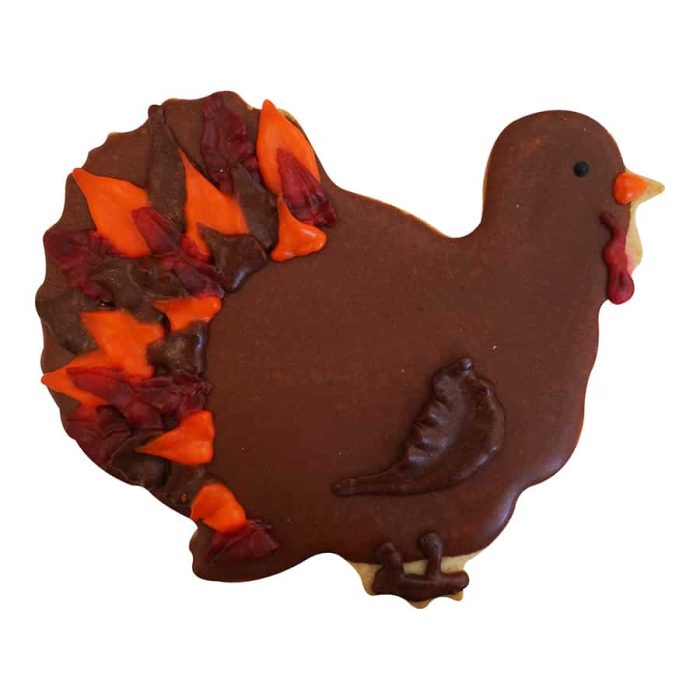Decorated turkey cookie